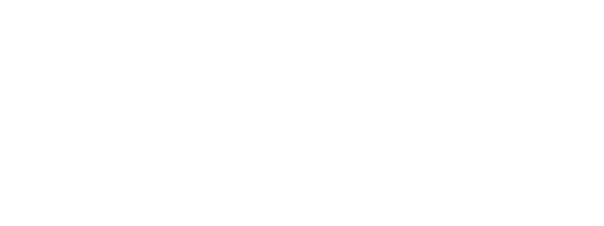 NEXLINE 次元線